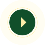 vedio button